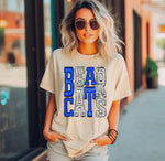 Load image into Gallery viewer, Mascot Sweatshirt - Back only

